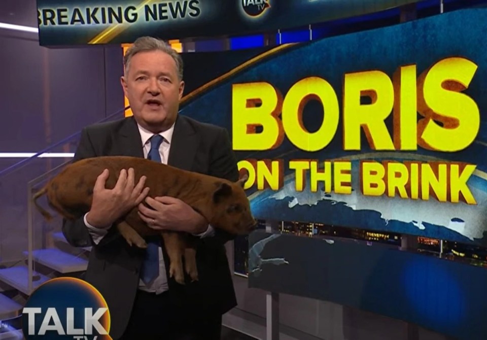 Piers appeared with a live piglet to ridicule "greasy piglet" Boris Johnson