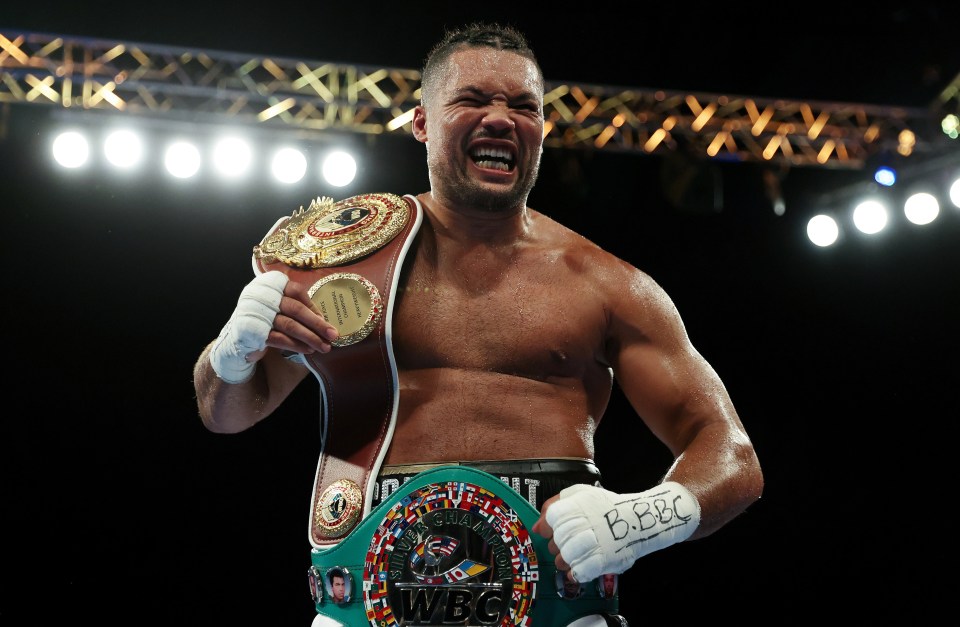 Joe Joyce celebrates victory over Christian Hammer