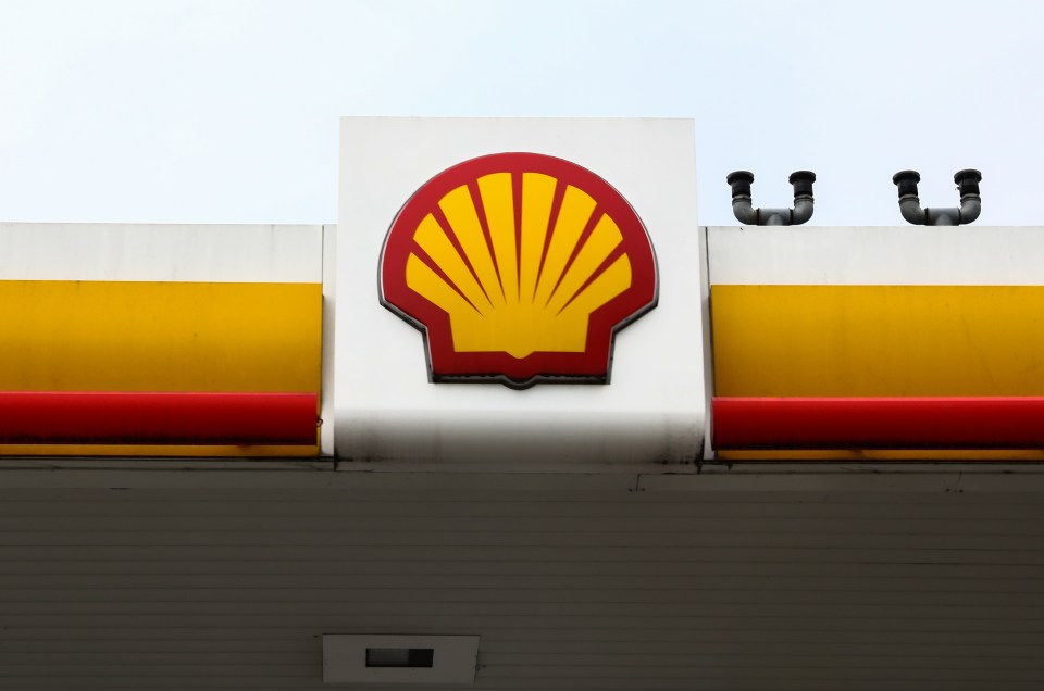 Shell and British Gas have reported record profits