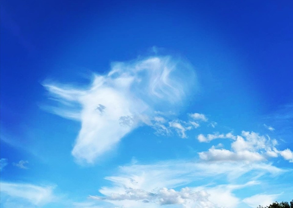 Olivia Harris, 46, saw the horse-shaped apparition in the clouds as she was visiting her daughter’s little pony