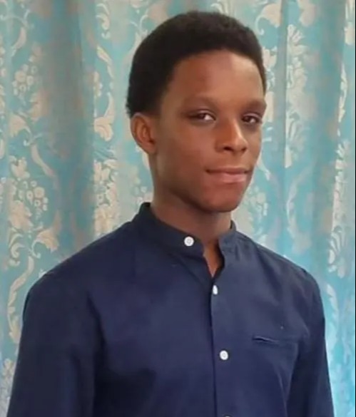 Lewis Agyei-Sekyireh drowned at North Met Lake, in Cheshunt, Hertfordshire