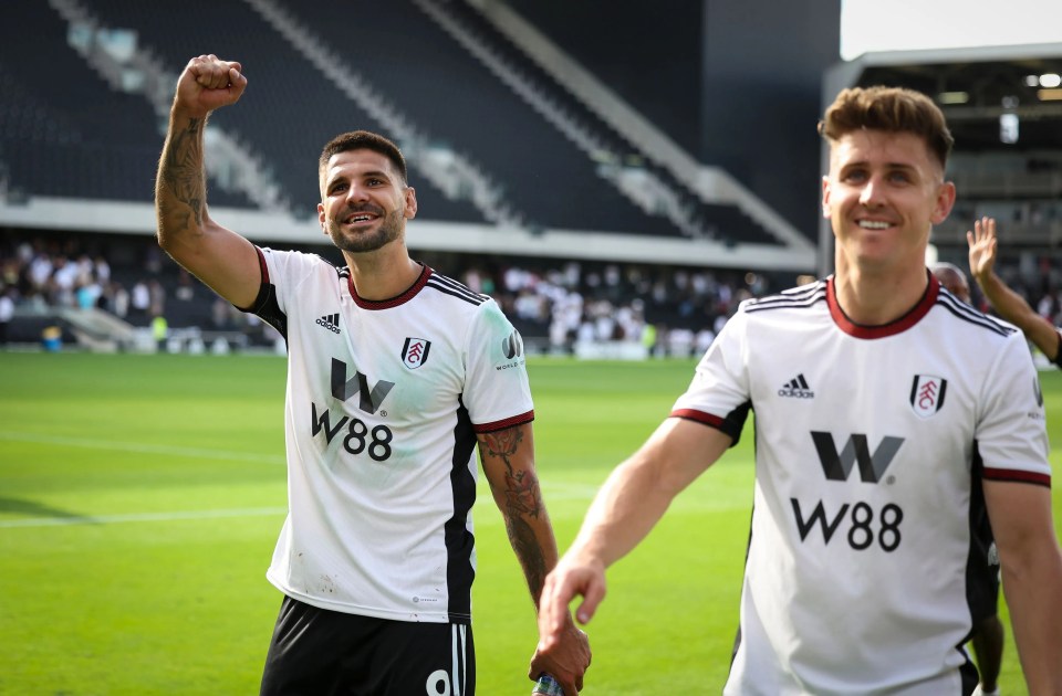 Aleksandar Mitrovic mocked his Fulham pal Tom Cairney