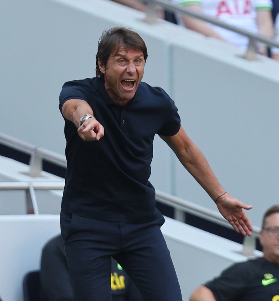 Conte bellows instructions at his Spurs players