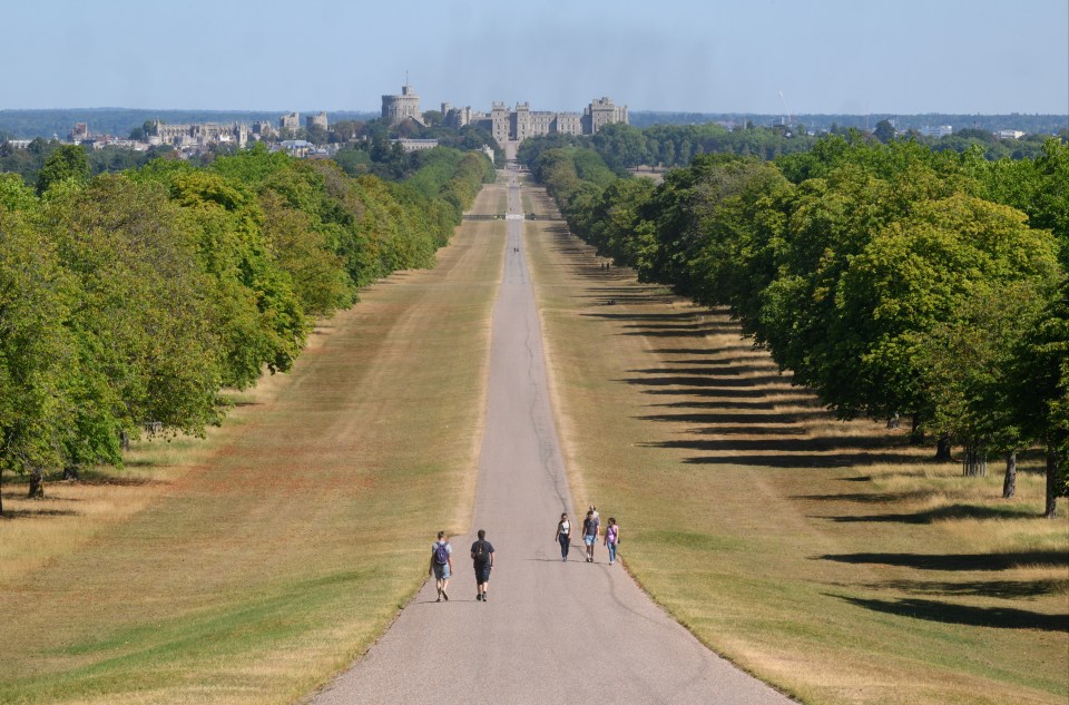 The Long Walk to Windsor Castle looks dry from the recent heat