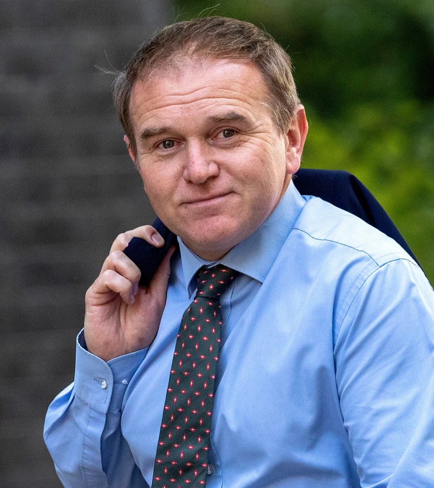 George Eustice wants to stop the whole country from using hoses