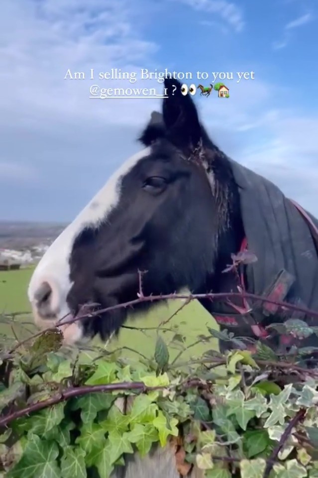 Luca showed off the stunning views in a bid to convince Gemma to move