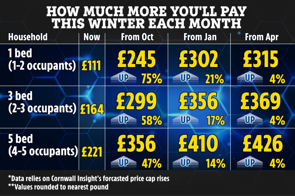 The smallest households will see the steepest rises to their energy bills