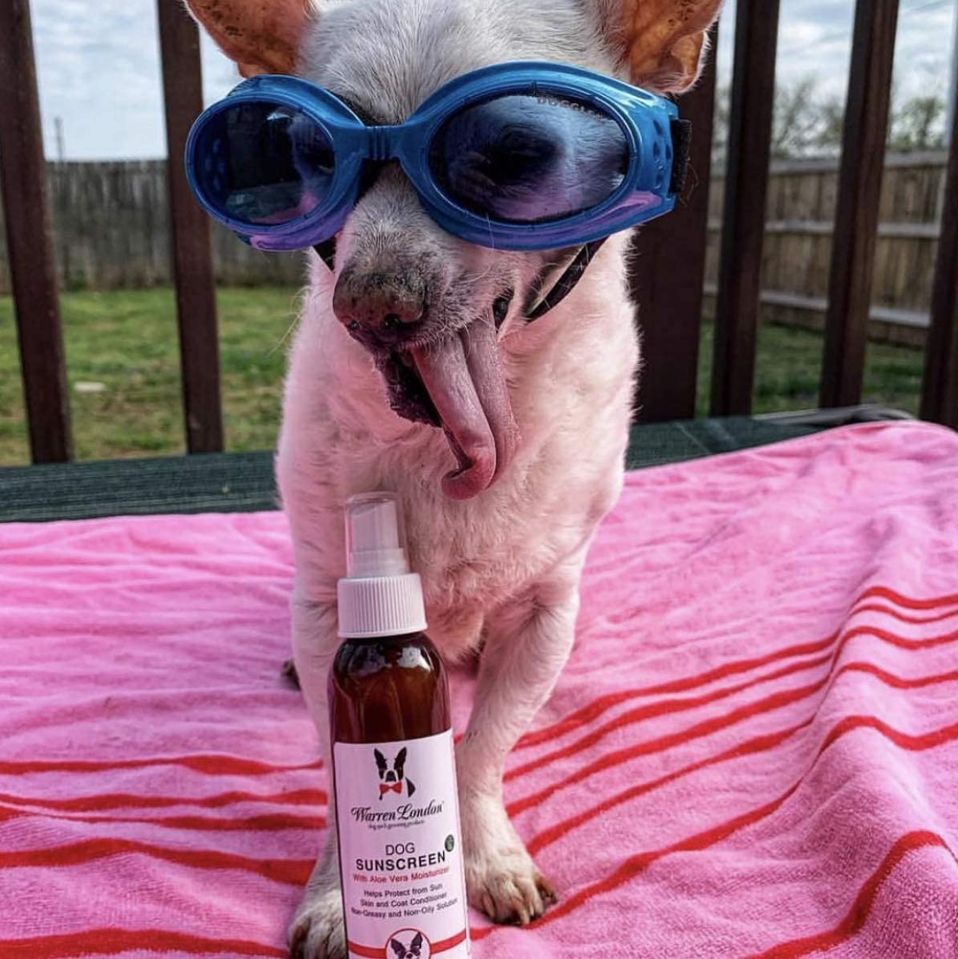 best-dog-sunscreen-warren-london