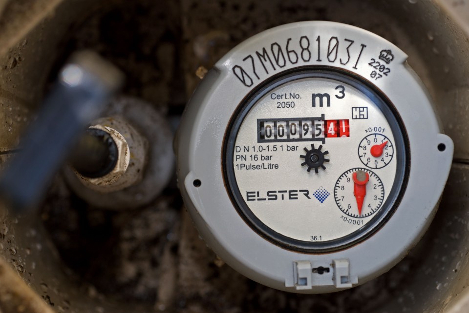 Water meters regularly save households hundreds every year