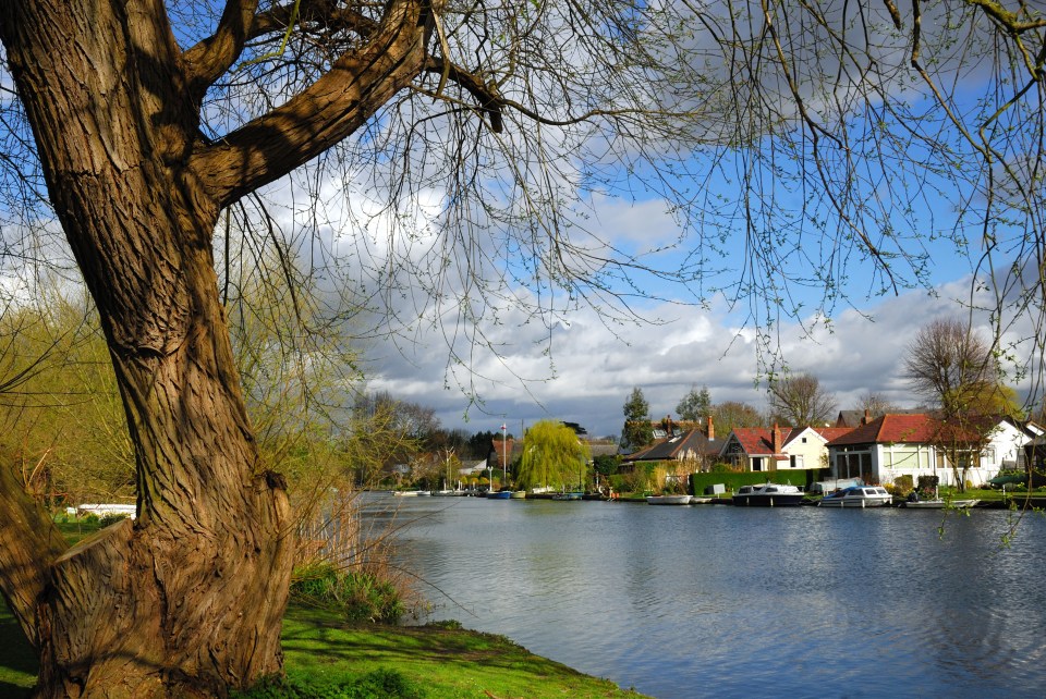 The man vanished underwater in Shepperton