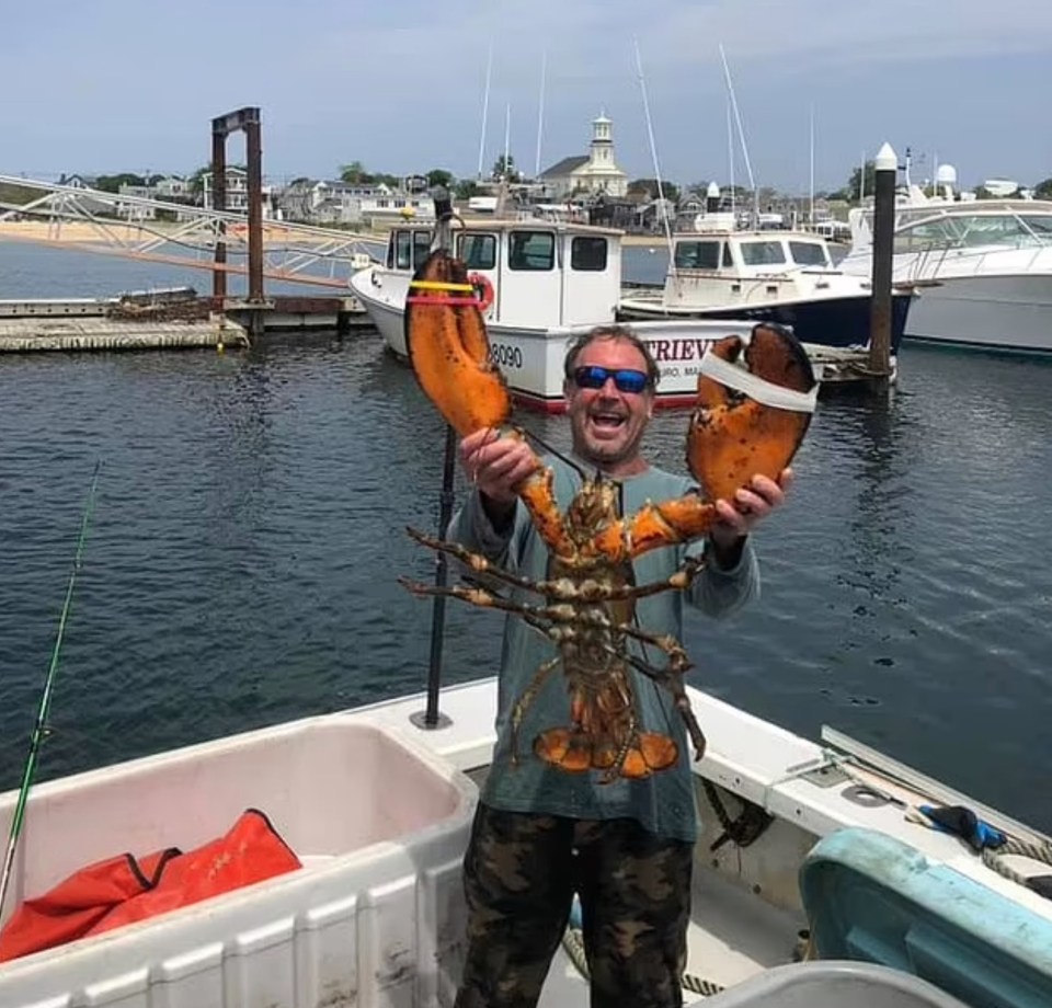 Michael Packard was diving when he was swallowed by a whale