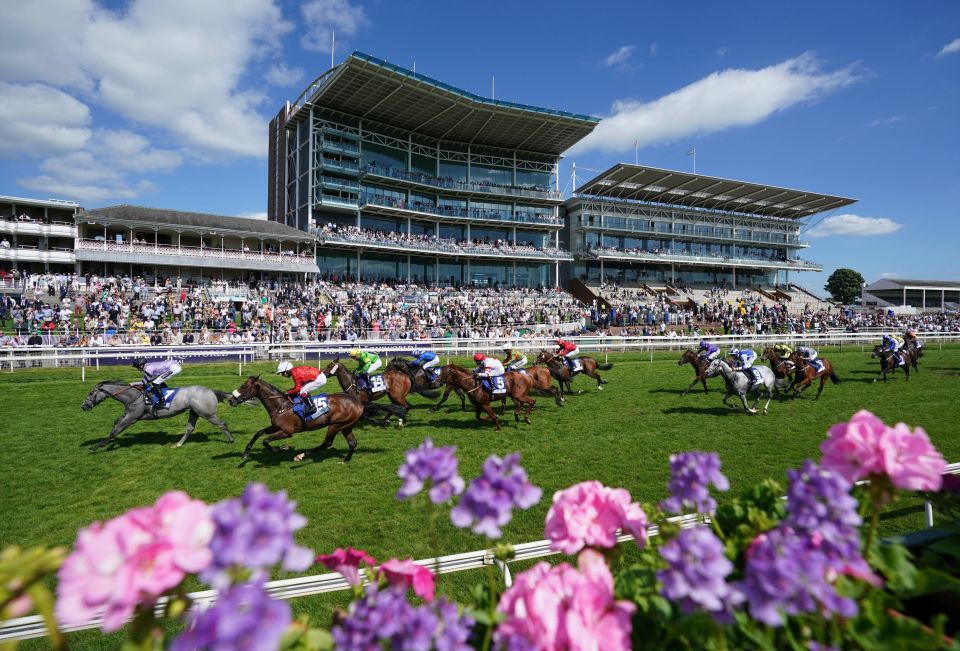 York is one of the country's most picturesque courses - with a load of top quality action to match