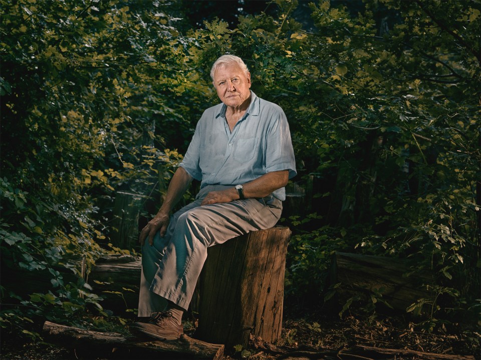 Sir David Attenborough is set to make an epic TV return with new BBC series