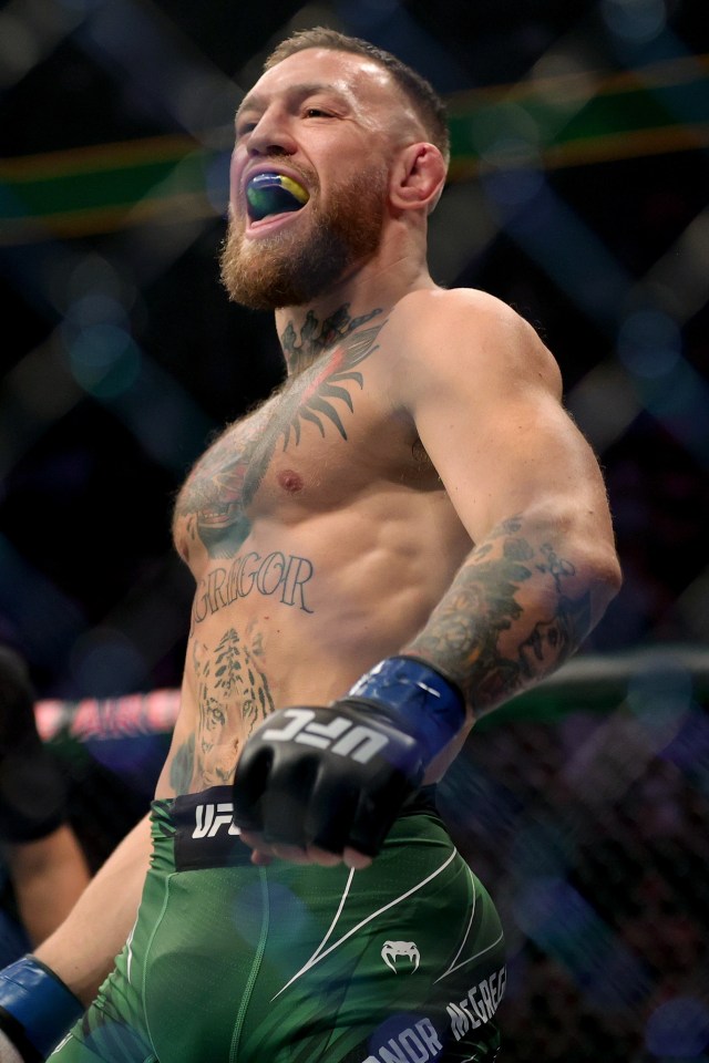 Conor McGregor is on course to return to the octagon early next year