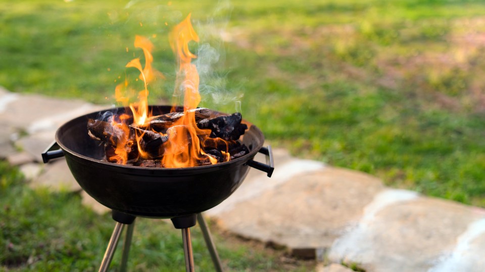 He added: 'Fire and rescue services in the UK are strongly recommending that where possible, people refrain from having bonfires in their gardens'