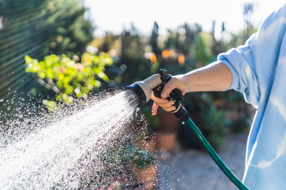 More than two million households are facing a hosepipe ban