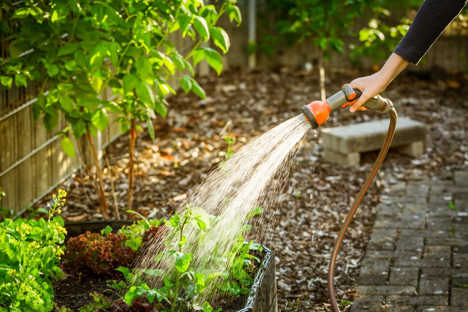 Many parts of the country will face a hosepipe ban this month