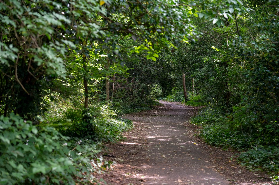 The dad was assaulted in Longcroft Park, in  Worthing, East Sussex