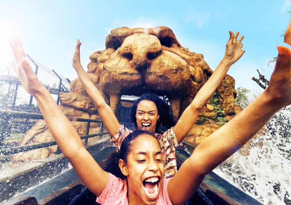 Chessington World of Adventure offers more than 40 rides and attractions, including lazy rivers, water rides and flying carousels