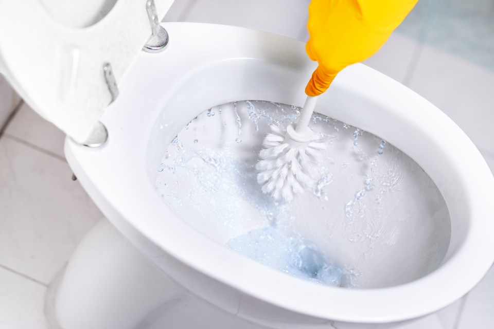 Cleaning expert Chris Wootton is here with his simple tip to get your toilet clean in minutes