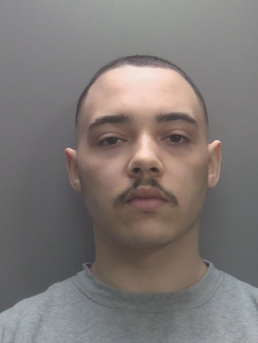 Aaron Matthew was jailed for life after stabbing his own mother to death