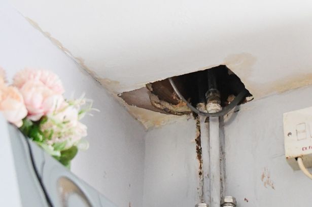 The family say the dripping pipe has caused extensive damage to their council home