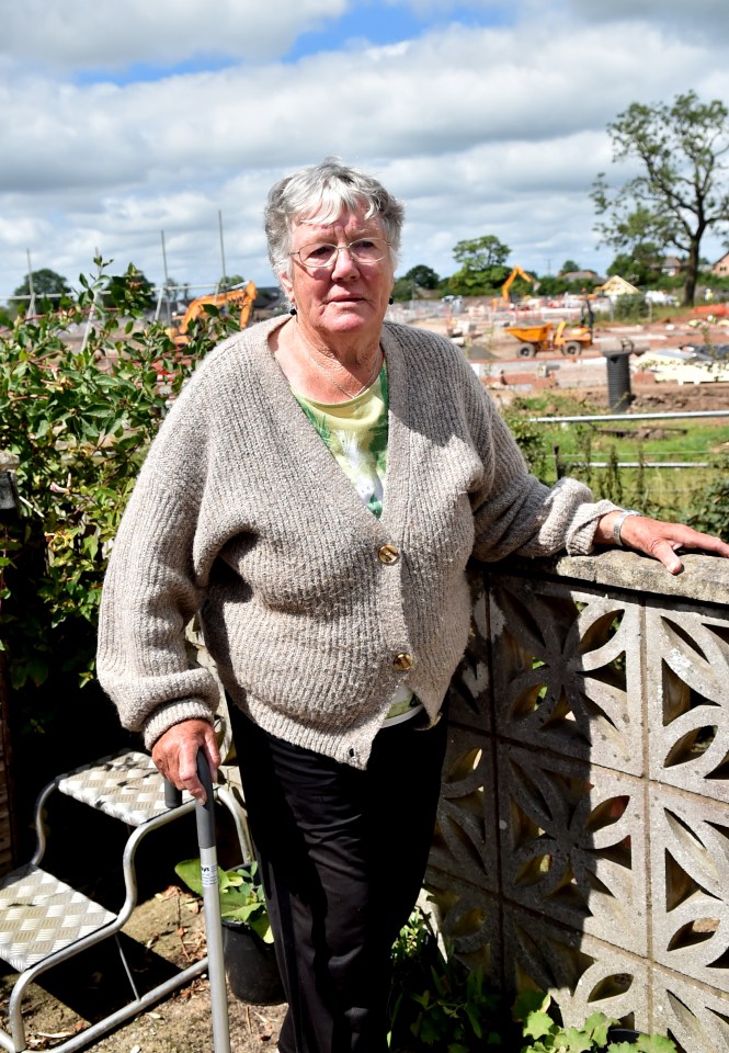 Margot Naylor, with the new build estate at the back of her garden