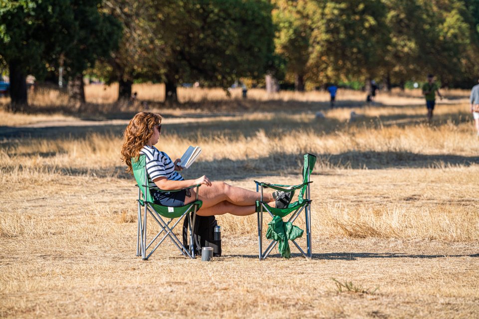 A bookworm enjoys the warm weather this morning in Wimbledon, South London