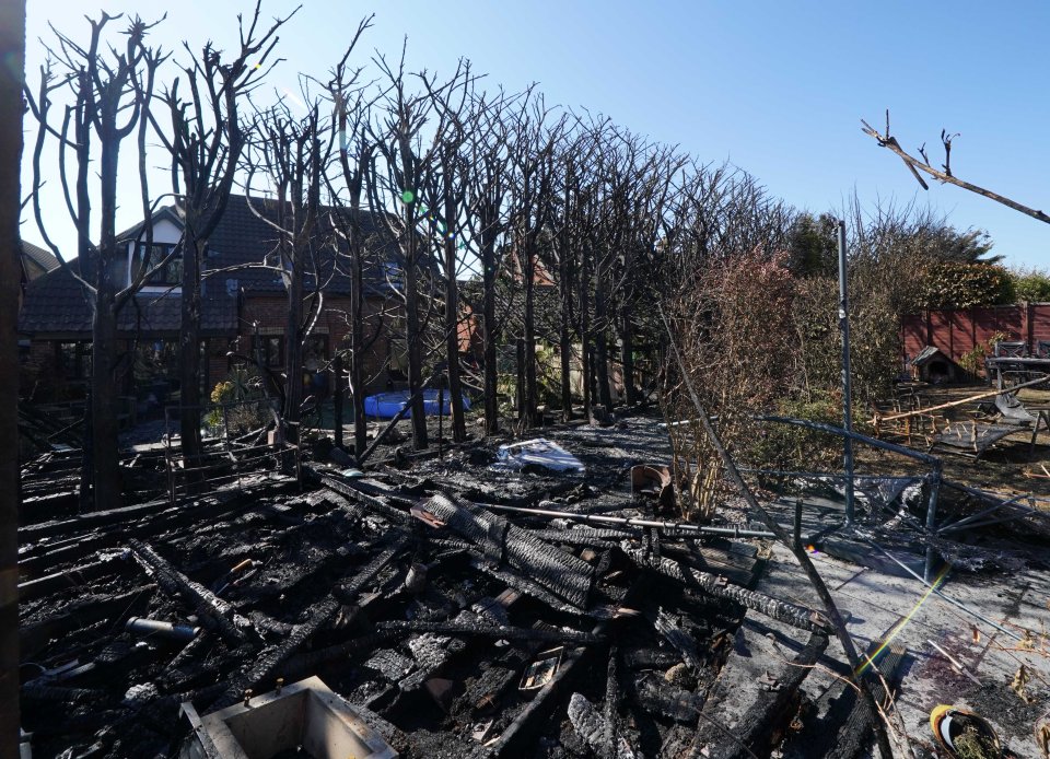 The charred aftermath of burnt trees after a blaze in Chelmsford, Essex