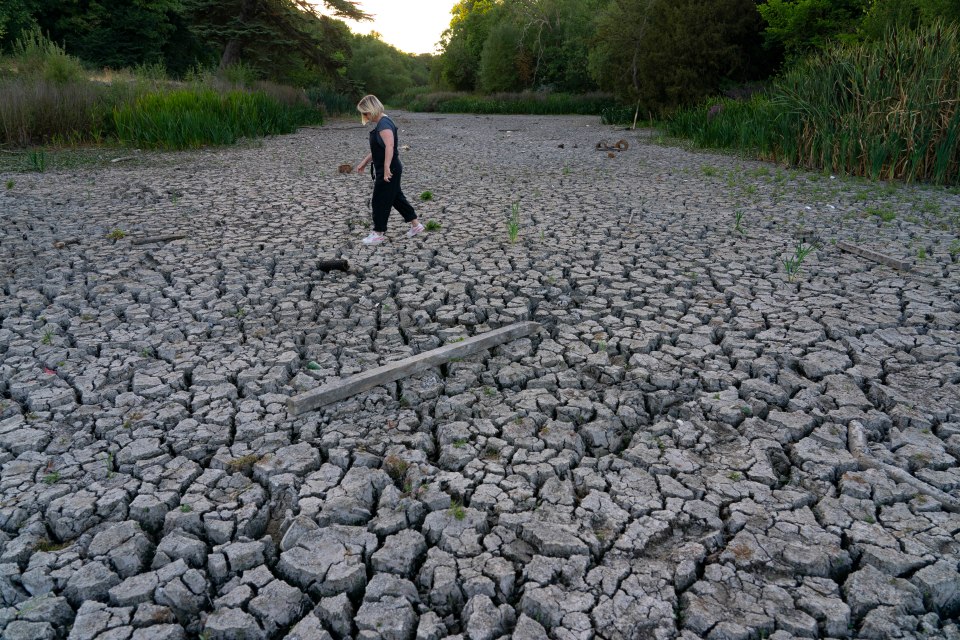 A woman strolls across a dried-up pond in East London