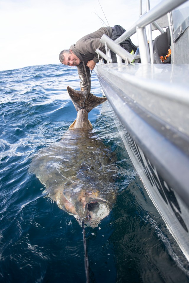 Paul added: 'It was a bit emotional. I have spent a lot of years trying to catch a fish like that'