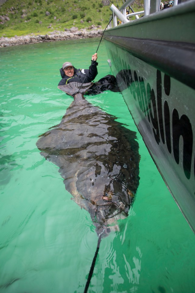 Angler Paul Stevens with his catch — a 28½ stone halibut