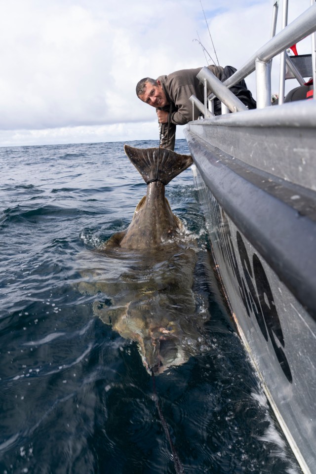 Paul caught the massive halibut off the coast of Norway