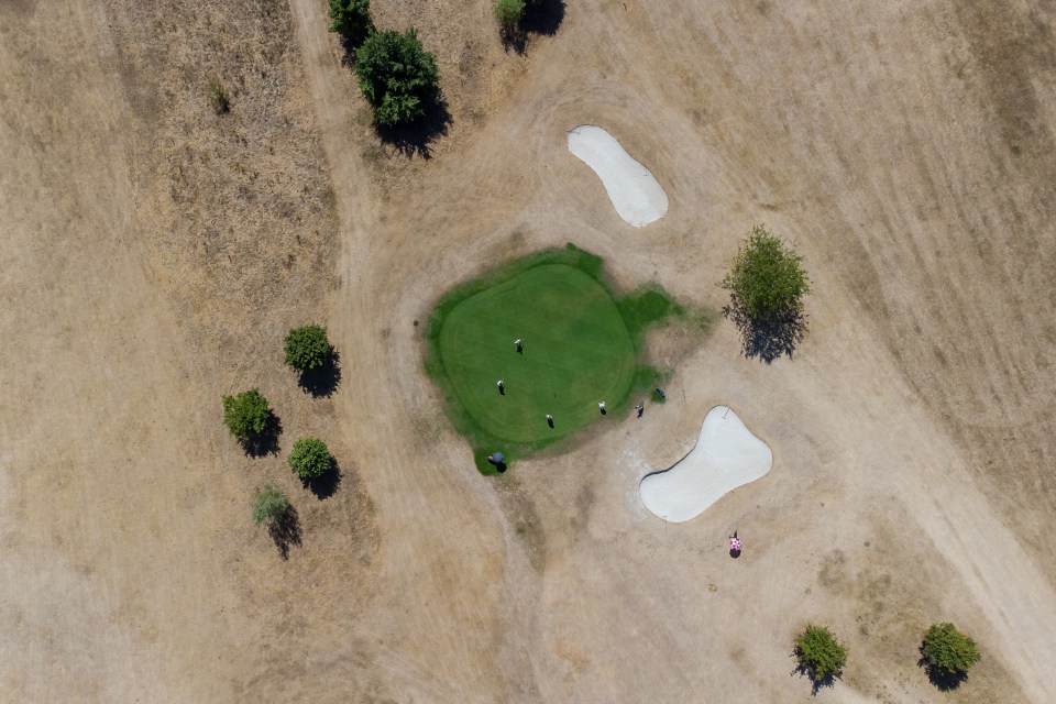 Putting green encircled by parched brown grass in Oxfordshire