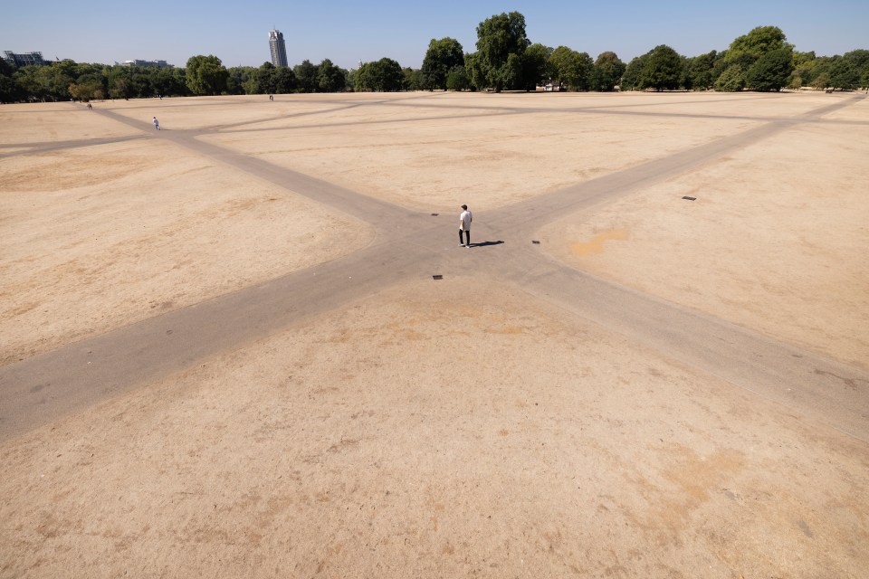 Walkers realised the effects of the dry weather in Hyde Park, London, today