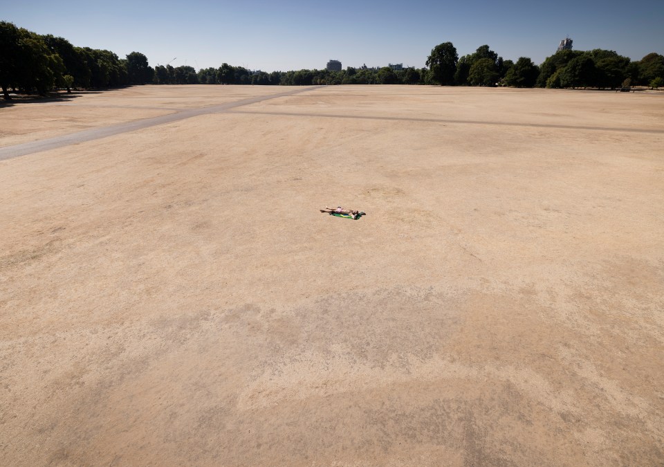 A sunbather lay on the crisp grass of Hyde Park in London today