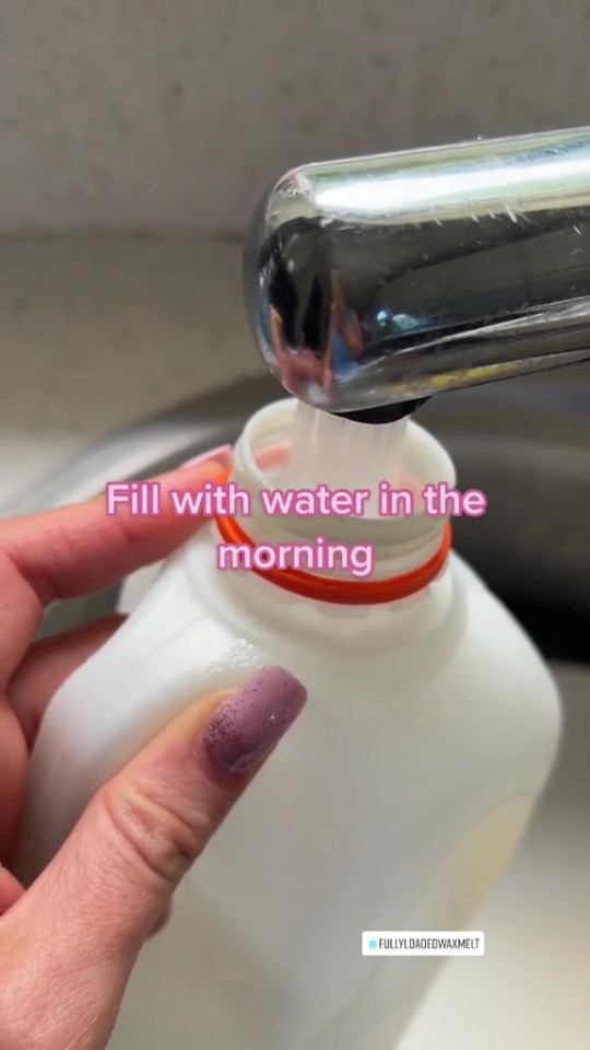 Fill up an old milk carton or large bottle with water