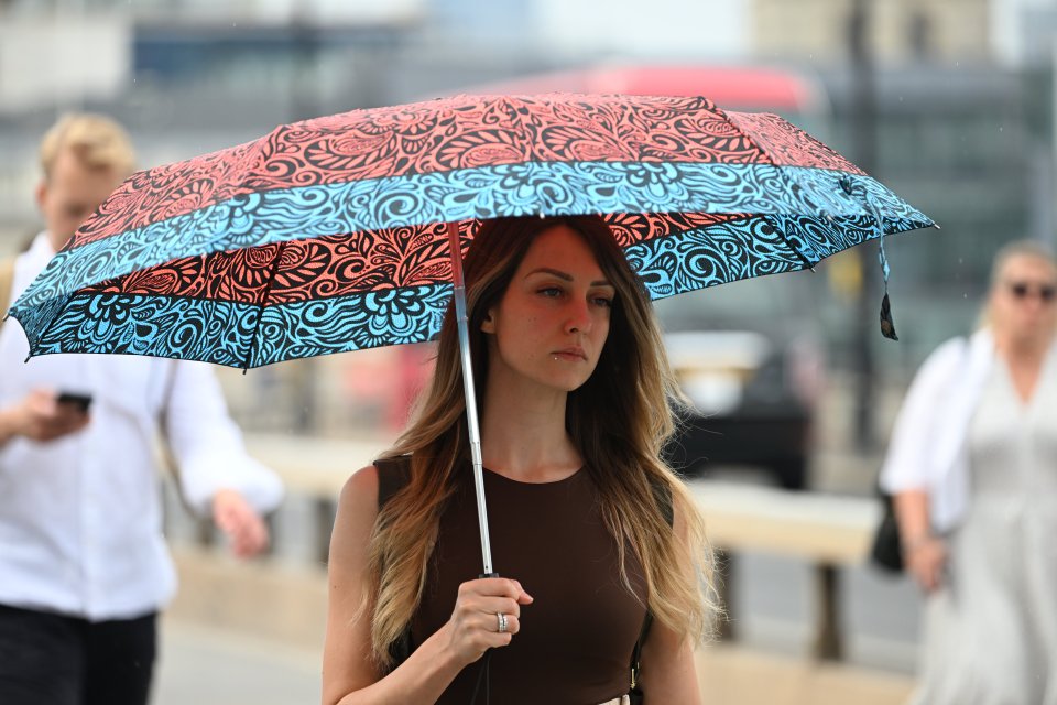 Brits were out in force with their umbrellas in London this morning