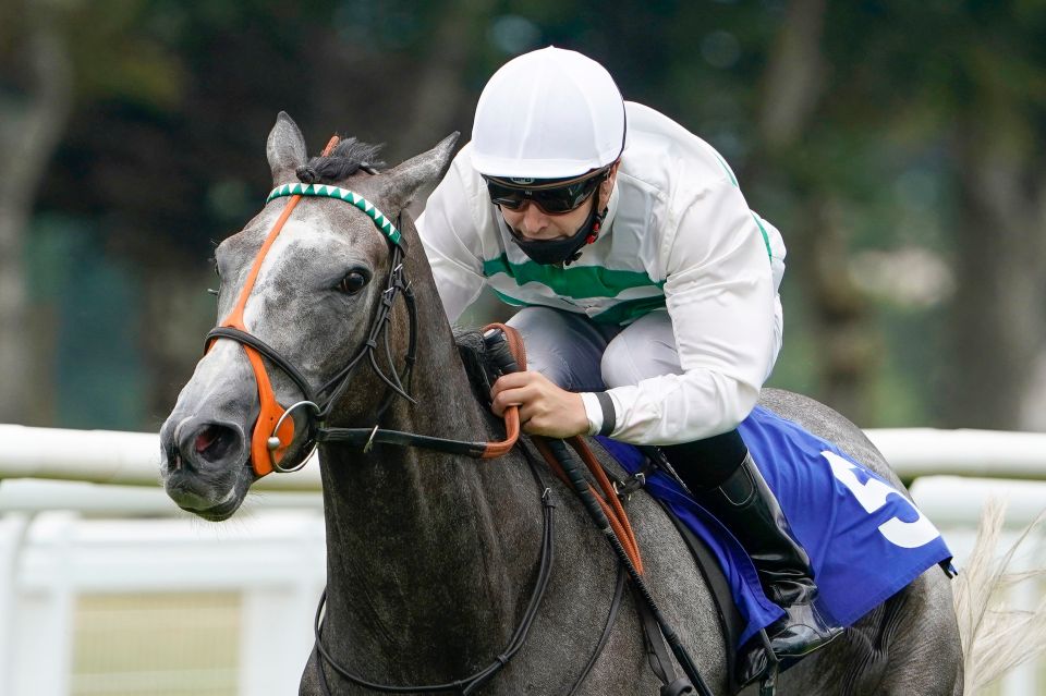 Can glorious grey Alpinista continue her path to the Arc with another dominant win at York?