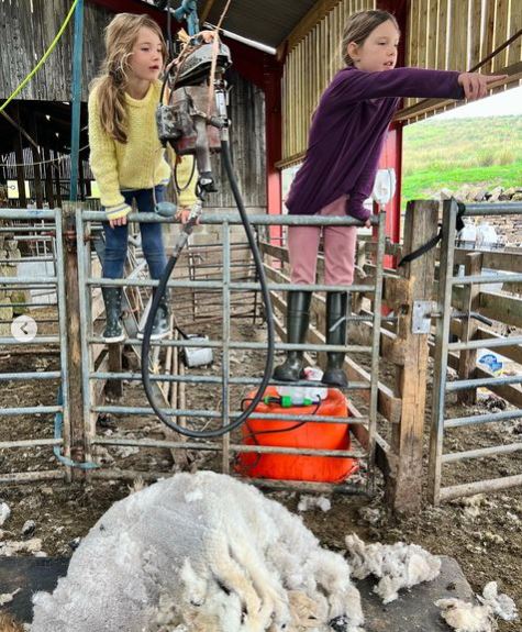 Amanda’s daughters joined her to shear the sheep