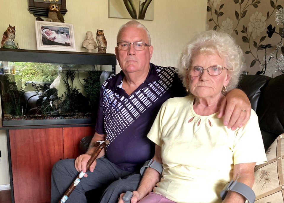 John and Hilary Taylor say they have suffered because of ongoing noise nuisance