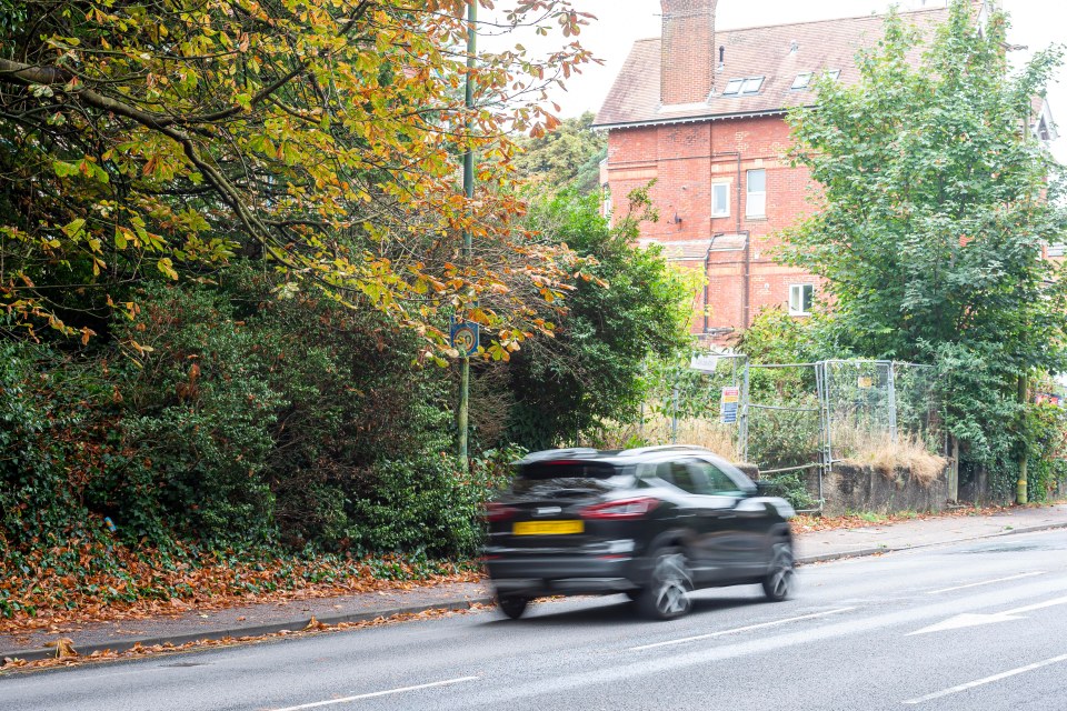 The bush is so overgrown that it obscures a speed sign