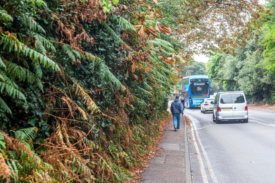 They also argued it forces people to step out into the road when it's at its worst