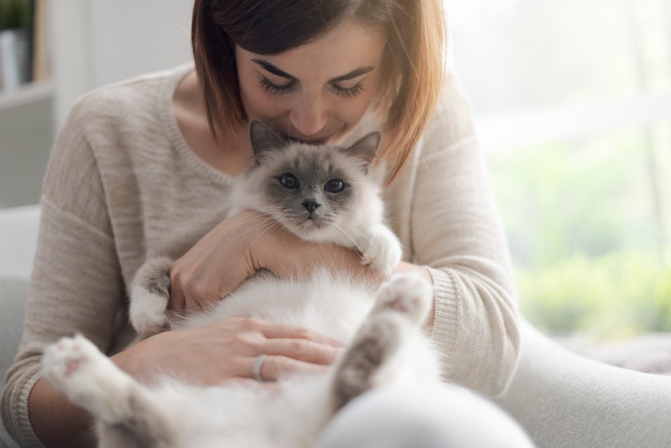 She was left devastated when her cat died and wants him to live on by naming her son after him