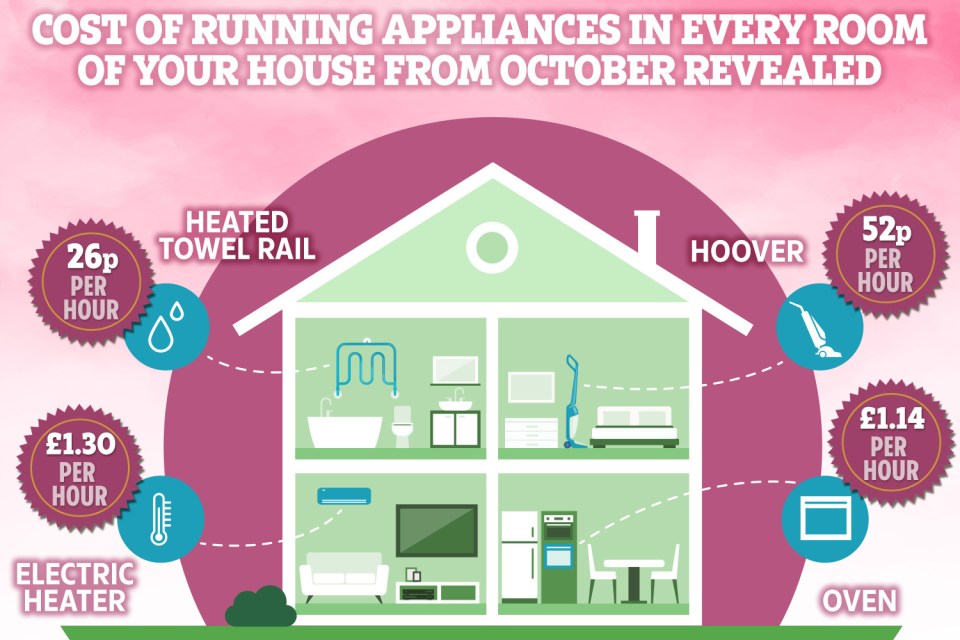 We reveal how much it will cost to run household appliances from October