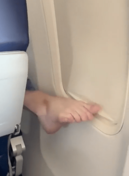 They used their toes to close the blind during the flight