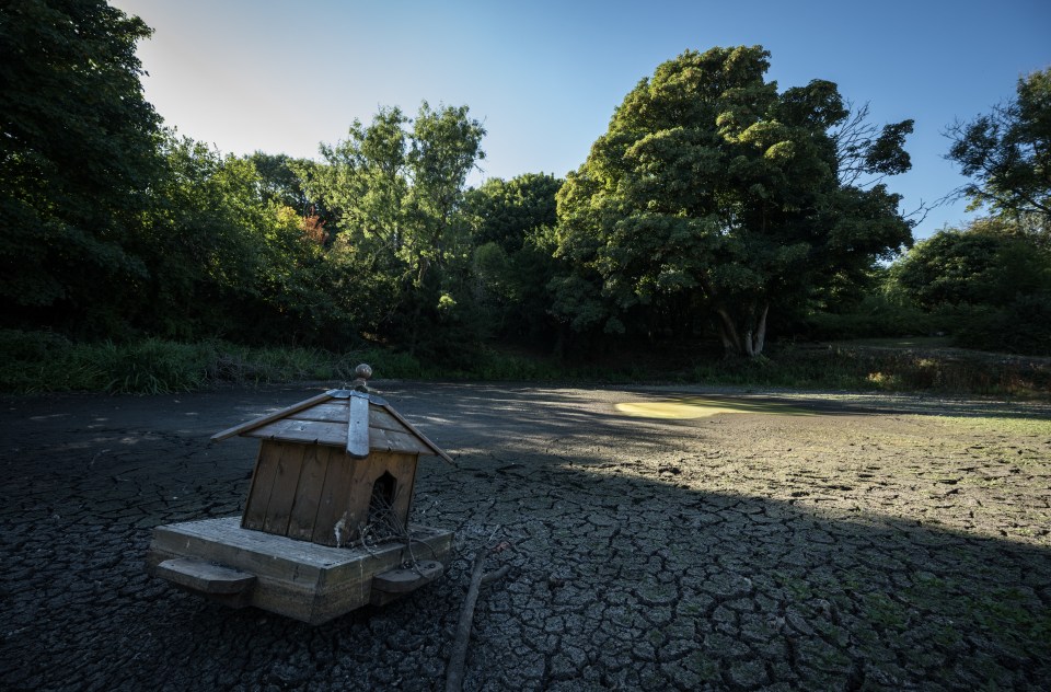 River levels are low as hosepipe bans have been enforced