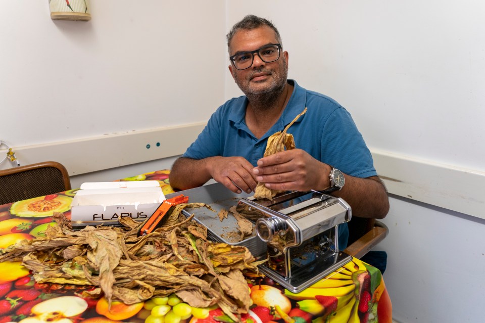 The gardening enthusiast uses a pasta machine to cut the tobacco into small pieces