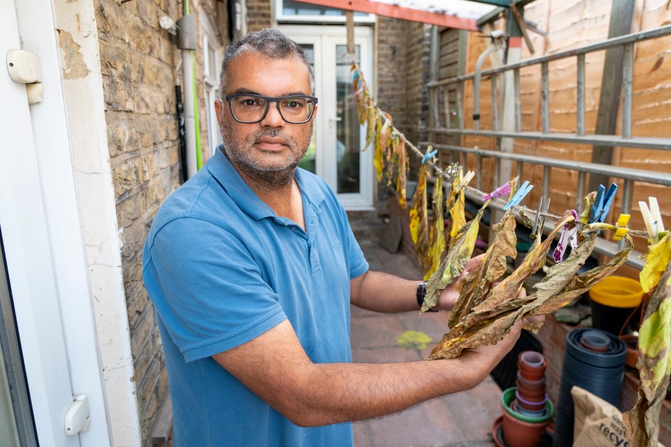 Azad holding the leaves which are in the drying process