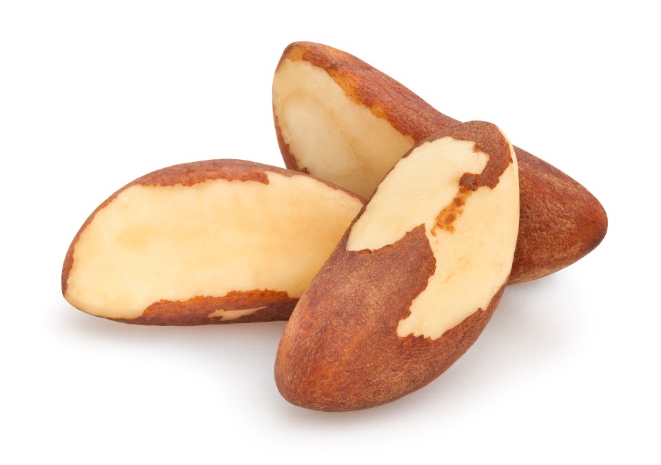 Three Brazil nuts isolated on white background.